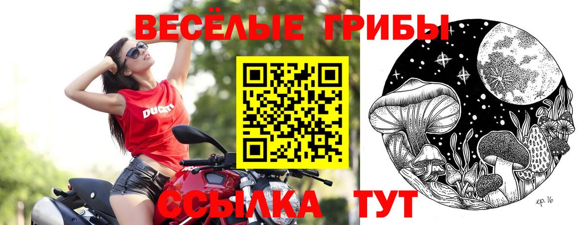 Карпинск  Псилоцибиновые грибы Magic Shrooms  Галлюциногенные грибы Psilocybine cubensis  Вход с VPN 